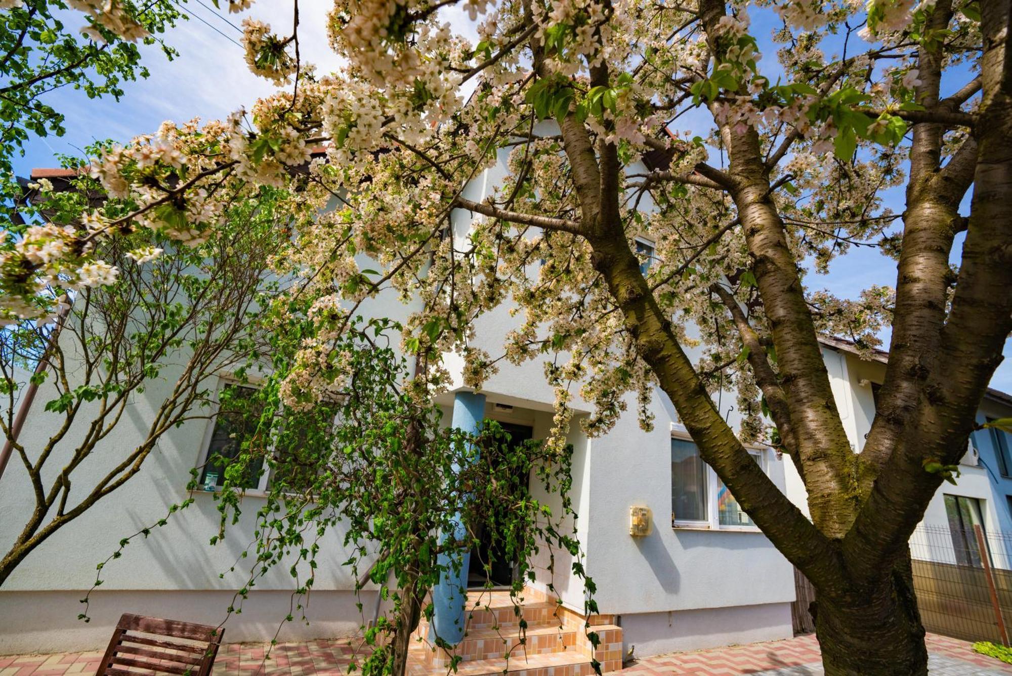 Pitstop Apartments Dumbravita  Exterior foto